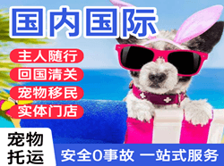 正定航空邮寄国际宠物托运 【国